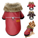 Urban-Rider™ Vegan Leather Jacket: Windproof Winter Coat for Small & Medium Dogs