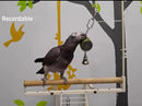 EchoCoach™ Pro Voice Recording Parrot Trainer