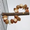 NaturPerch™ Natural Wood Parrot Swing Perch – Chewable Corn Cob & Nut Training Stand for Lovebirds & Cockatiels