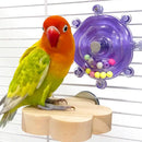 SpinWheel™ Parrot Decompression Rotating Wheel Toy – Energy Release Cage Toy for Birds