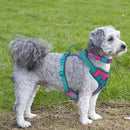ChromaFlex™ Breathable No-Pull Dog Harness – Adjustable Comfort for All Sizes