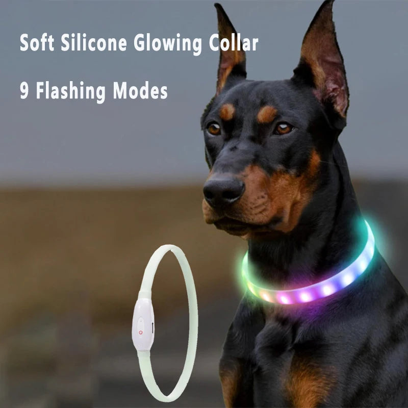 NightGuard™ LED Rechargeable Dog Collar