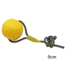 Aero-Grip™ Hybrid Dog Frisbee: Shock-Absorbent Rubber & Dental Rope Ring