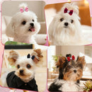 DiamondBow™ 2-Pack Diamond Dog Hair Bows with Rubber Bands – Handmade Valentine's Day Puppy Bowknots