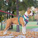ChromaFlex™ Breathable No-Pull Dog Harness – Adjustable Comfort for All Sizes