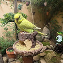 NestHaven™ Natural Bark Bird House – Weatherproof Hanging Nest & Garden Feeder for Wild Birds
