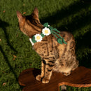 DaisyKnit™ Hand-Knitted Daisy Pet Necklace