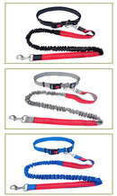 RunMate™ Hands-Free Dog Leash