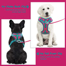 ChromaFlex™ Breathable No-Pull Dog Harness – Adjustable Comfort for All Sizes