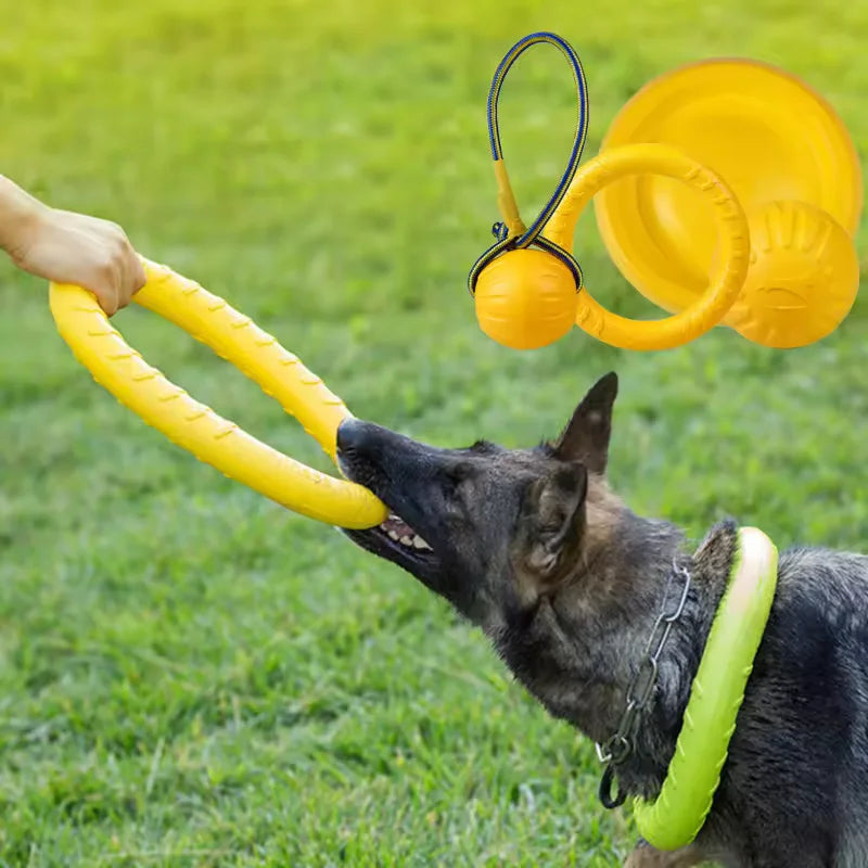 Aero-Grip™ Hybrid Dog Frisbee: Shock-Absorbent Rubber & Dental Rope Ring