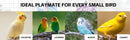 TailSpin™ Long-Tail Parrot Interactive Training Toy – Educational Enrichment for Small Birds