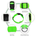 NightRun™ 3-Mode LED Dog Safety Collar