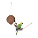 CocoNest™ Natural Coconut Shell Bird House – Nesting Hideaway with Ladder for Small Birds
