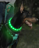 NightGuard™ LED Rechargeable Dog Collar