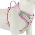 Chocolate Luxe™ Personalized No-Pull Harness: Adjustable Premium Comfort for All Sizes