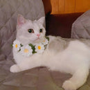 DaisyKnit™ Hand-Knitted Daisy Pet Necklace