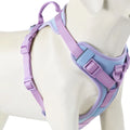 Chocolate Luxe™ Personalized No-Pull Harness: Adjustable Premium Comfort for All Sizes