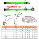 NightRun™ 3-Mode LED Dog Safety Collar