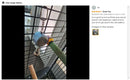 EchoCoach™ Voice Recording Parrot Trainer