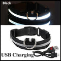 NightRun™ 3-Mode LED Dog Safety Collar