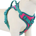 ChromaFlex™ Breathable No-Pull Dog Harness – Adjustable Comfort for All Sizes