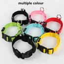 NightRun™ 3-Mode LED Dog Safety Collar