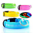 NightRun™ 3-Mode LED Dog Safety Collar