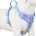 ChromaFlex™ Breathable No-Pull Dog Harness – Adjustable Comfort for All Sizes