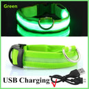 NightRun™ 3-Mode LED Dog Safety Collar