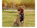 TrueLove™ No-Pull Adventure Harness: Reflective Nylon & Ergonomic Step-In Control (TLH5654)