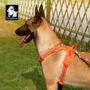 TrueLove™ No-Pull Adventure Harness: Reflective Nylon & Ergonomic Step-In Control (TLH5654)
