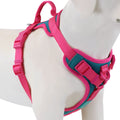 Chocolate Luxe™ Personalized No-Pull Harness: Adjustable Premium Comfort for All Sizes