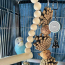 EchoCoach™ Voice Recording Parrot Trainer