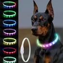 NightGuard™ LED Rechargeable Dog Collar