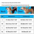 ChromaFlex™ Breathable No-Pull Dog Harness – Adjustable Comfort for All Sizes