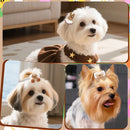 BowGlam™ 50-Pack Lace Ball Bowknot Dog Hair Clips – Cute Grooming Accessories for Small Dogs