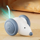 RacerPaw™ Laser Mouse Car Cat Toy