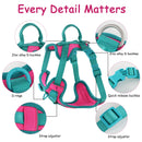 ChromaFlex™ Breathable No-Pull Dog Harness – Adjustable Comfort for All Sizes