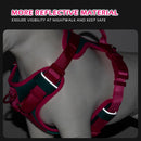 ChromaFlex™ Breathable No-Pull Dog Harness – Adjustable Comfort for All Sizes