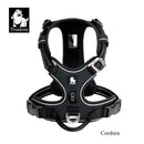 TrueLove™ No-Pull Adventure Harness: Reflective Nylon & Ergonomic Step-In Control (TLH5654)