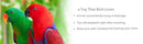 EchoCoach™ Pro Voice Recording Parrot Trainer