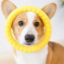 Aero-Grip™ Hybrid Dog Frisbee: Shock-Absorbent Rubber & Dental Rope Ring