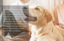 Shield-Flow™ Reversible Leakproof Mat: Waterproof Protective Cover for Pets & Kids