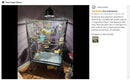 EchoCoach™ Voice Recording Parrot Trainer
