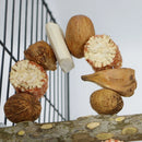NaturPerch™ Natural Wood Parrot Swing Perch – Chewable Corn Cob & Nut Training Stand for Lovebirds & Cockatiels