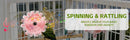 TailSpin™ Long-Tail Parrot Interactive Training Toy – Educational Enrichment for Small Birds