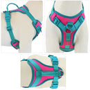 ChromaFlex™ Breathable No-Pull Dog Harness – Adjustable Comfort for All Sizes