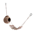 CocoNest™ Natural Coconut Shell Bird House – Nesting Hideaway with Ladder for Small Birds