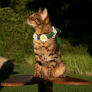 DaisyKnit™ Hand-Knitted Daisy Pet Necklace