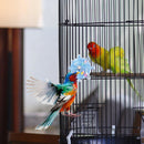 TailSpin™ Long-Tail Parrot Interactive Training Toy – Educational Enrichment for Small Birds